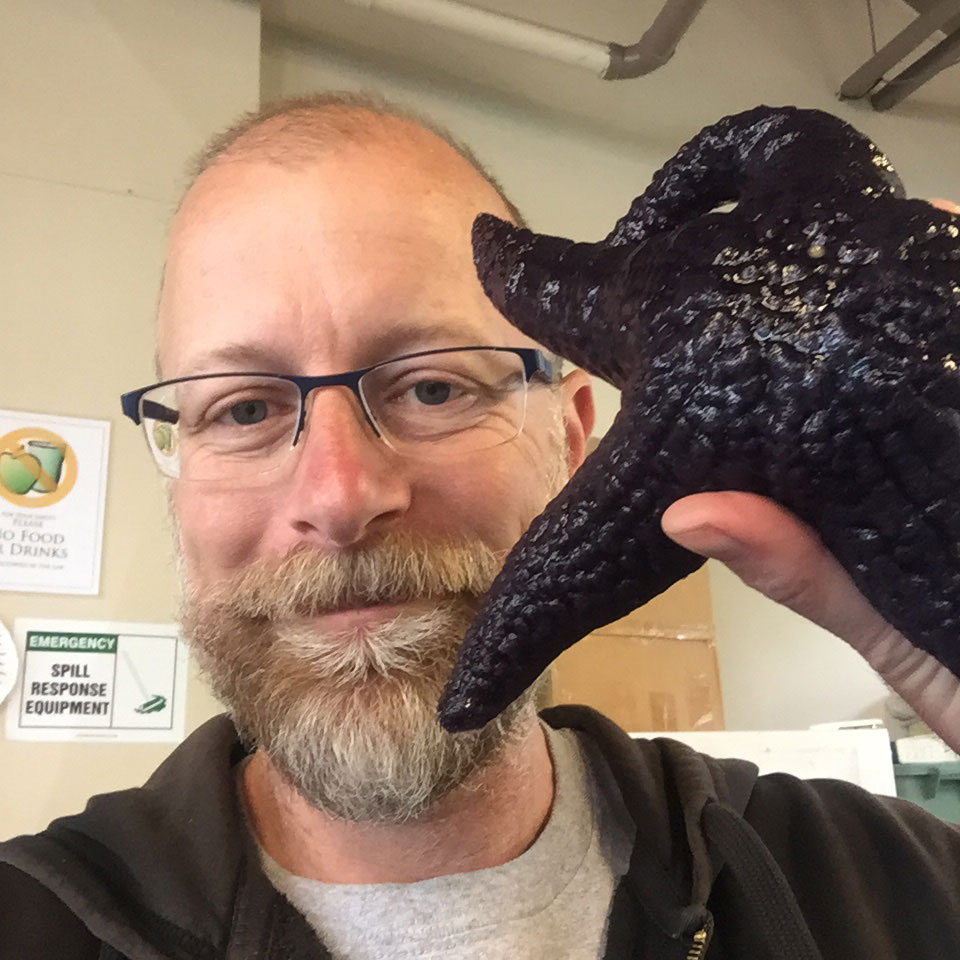 Dr. John Wares holds a glossy, black starfish up to the camera.