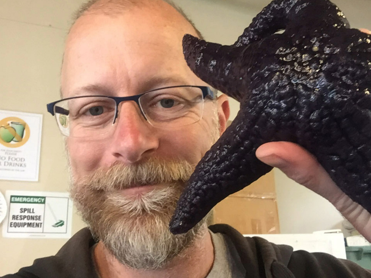 Dr. John Wares holds a glossy, black starfish up to the camera.