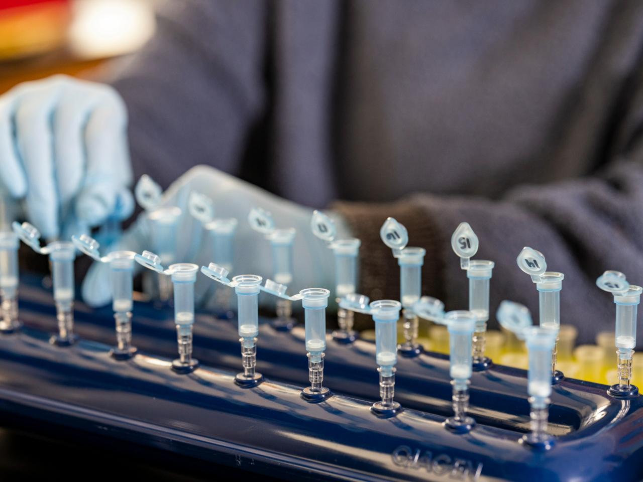 Pipette Tips (nonhazardous)