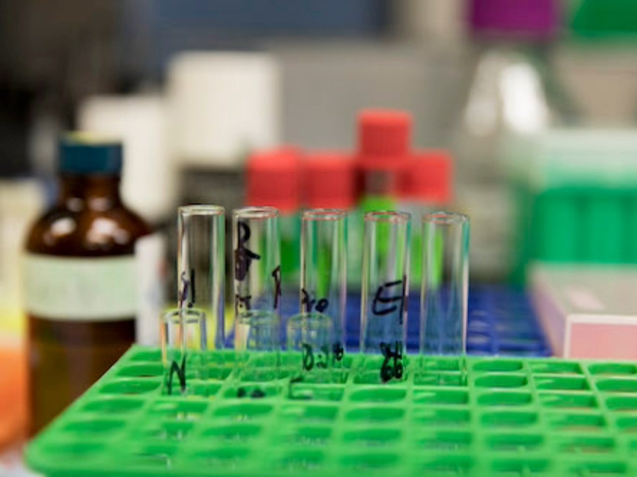 Waste Diversion Initiatives